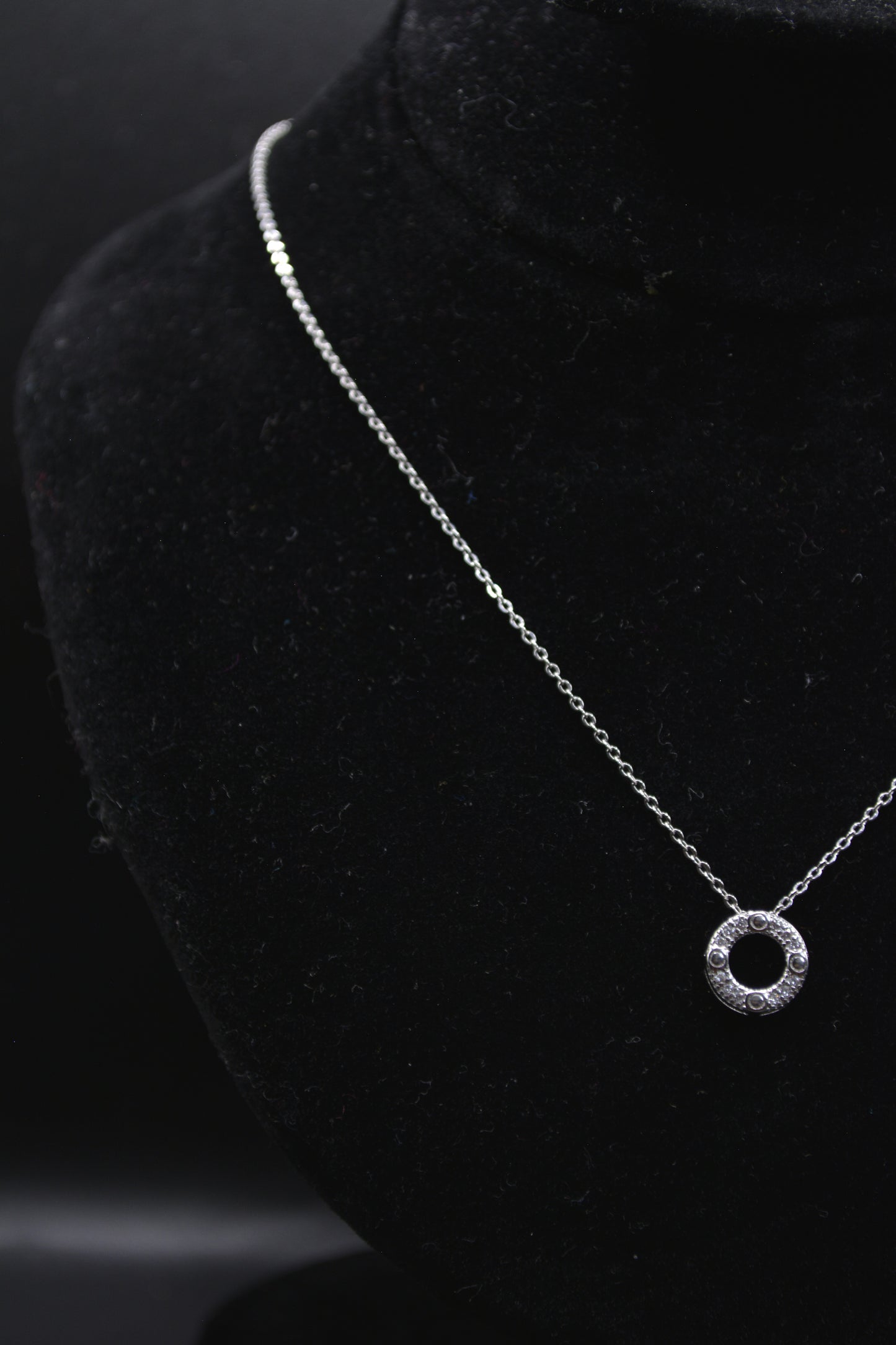 Elegant Circle Pendant Necklace