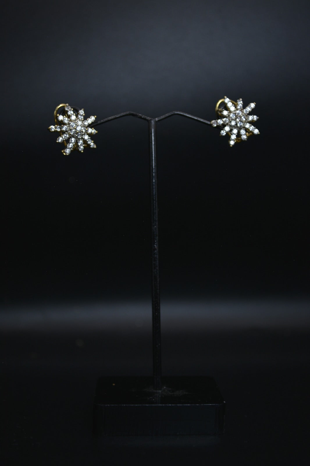 Crystal Star Brust Pendent Set