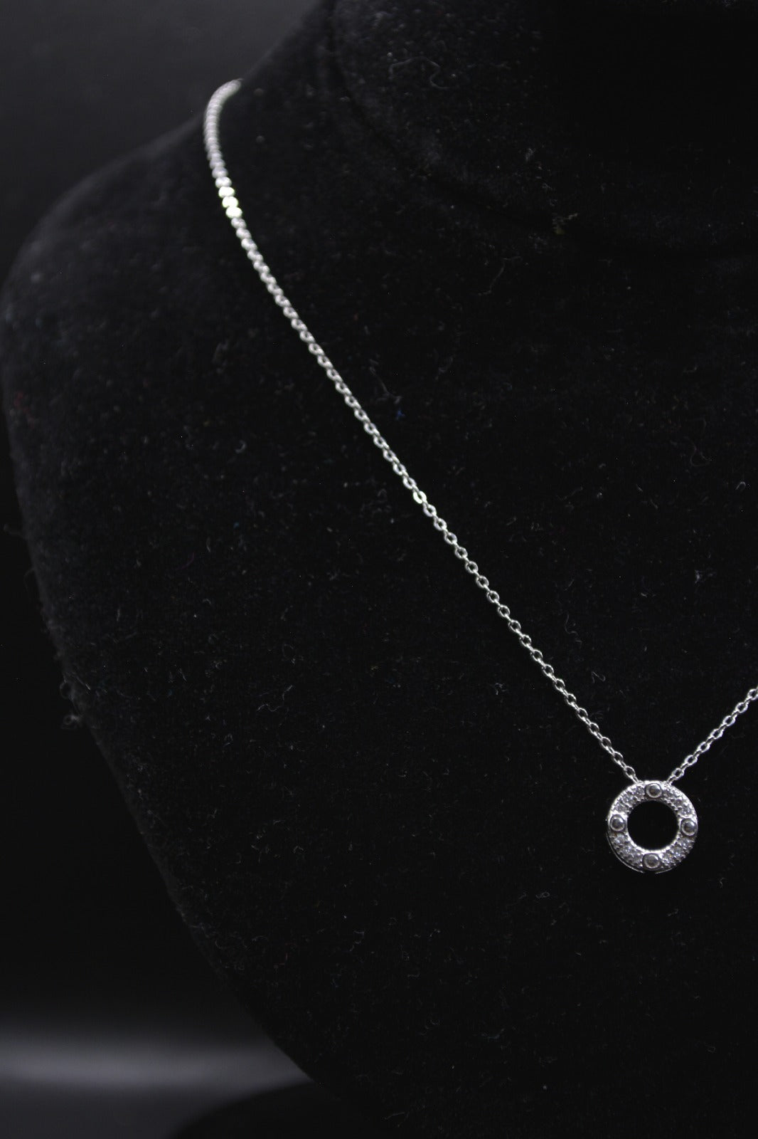 Elegant Circle Pendant Necklace