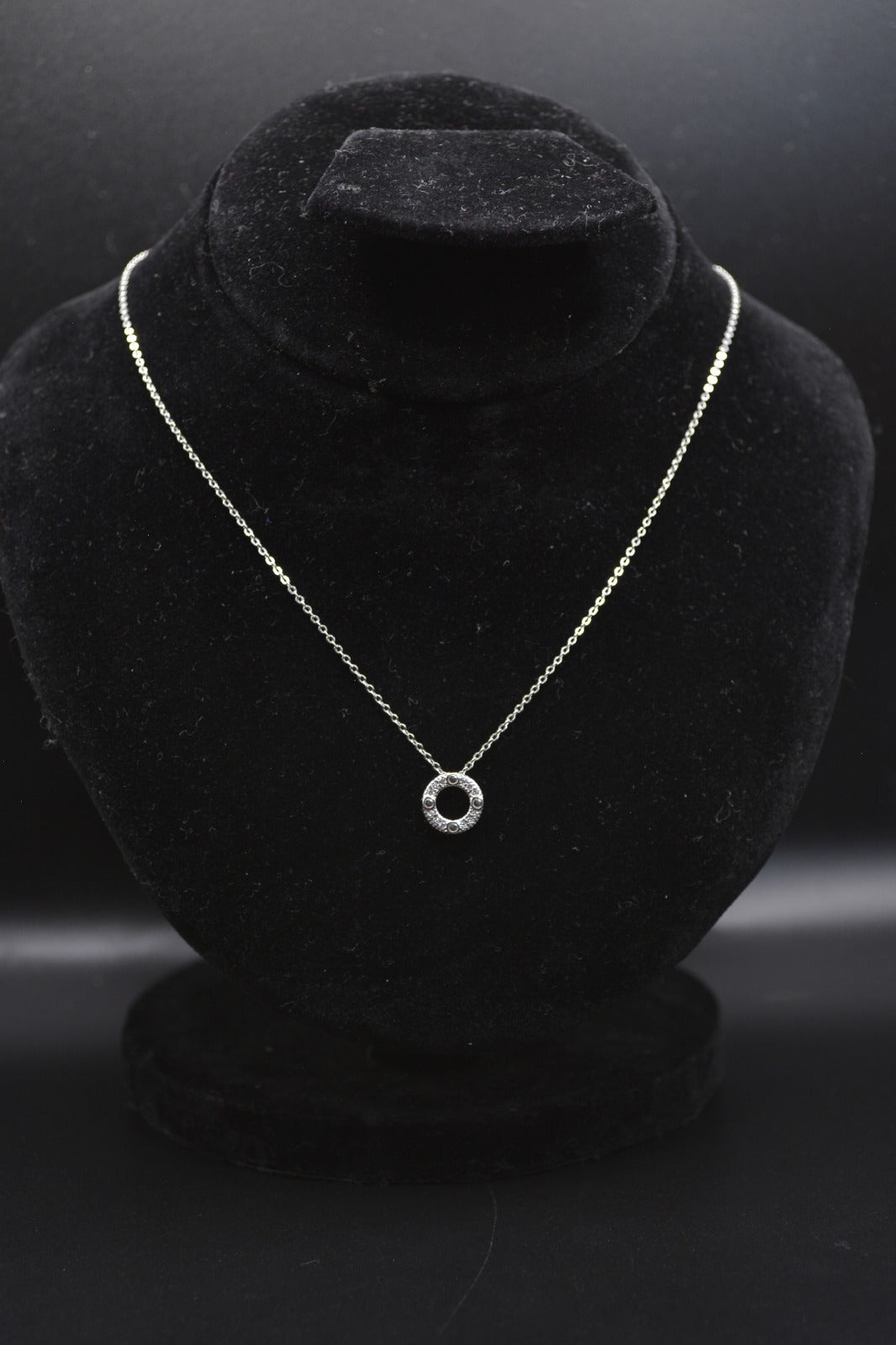 Elegant Circle Pendant Necklace